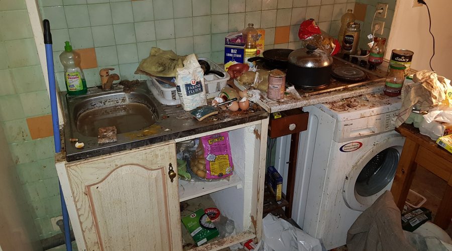 Nattoyage logement insalubre 3